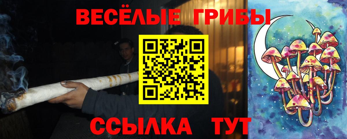 Псилоцибиновые грибы MAGIC MUSHROOMS Мытищи