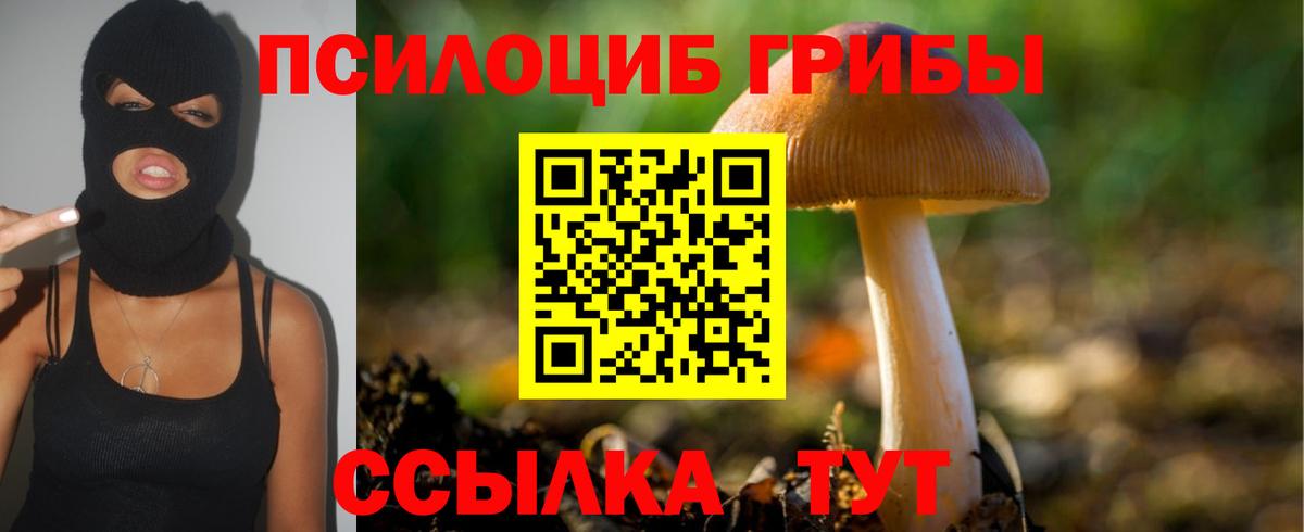 Мытищи  Галлюциногенные грибы GOLDEN TEACHER  Вход с VPN 
